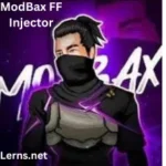 ModBax FF Injector